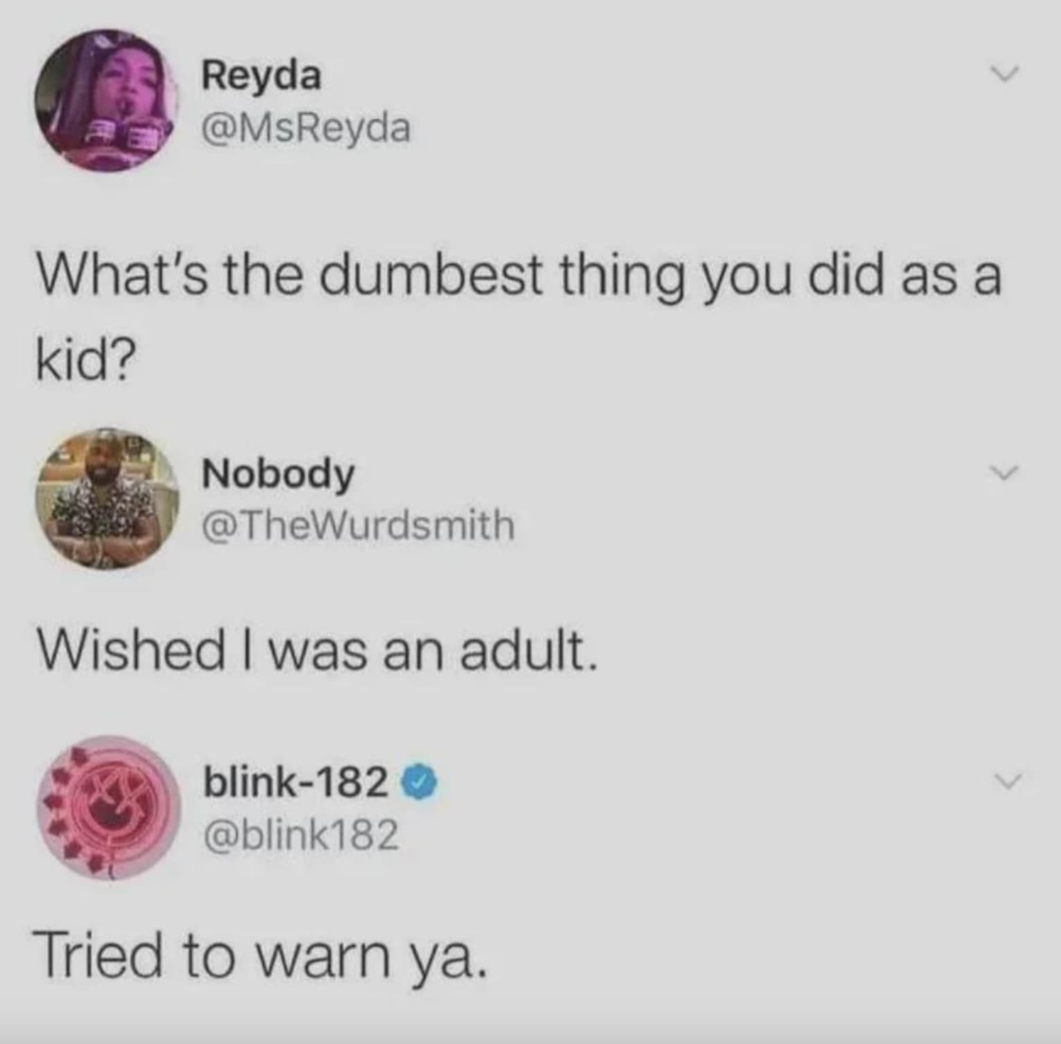 Internet meme - Reyda What's the dumbest thing you did as a kid? Nobody Wished I was an adult. blink182 Tried to warn ya.